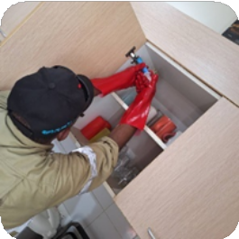 Specialized Solutions