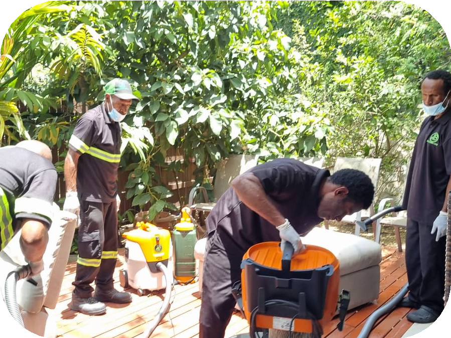 Exterior Maintenance